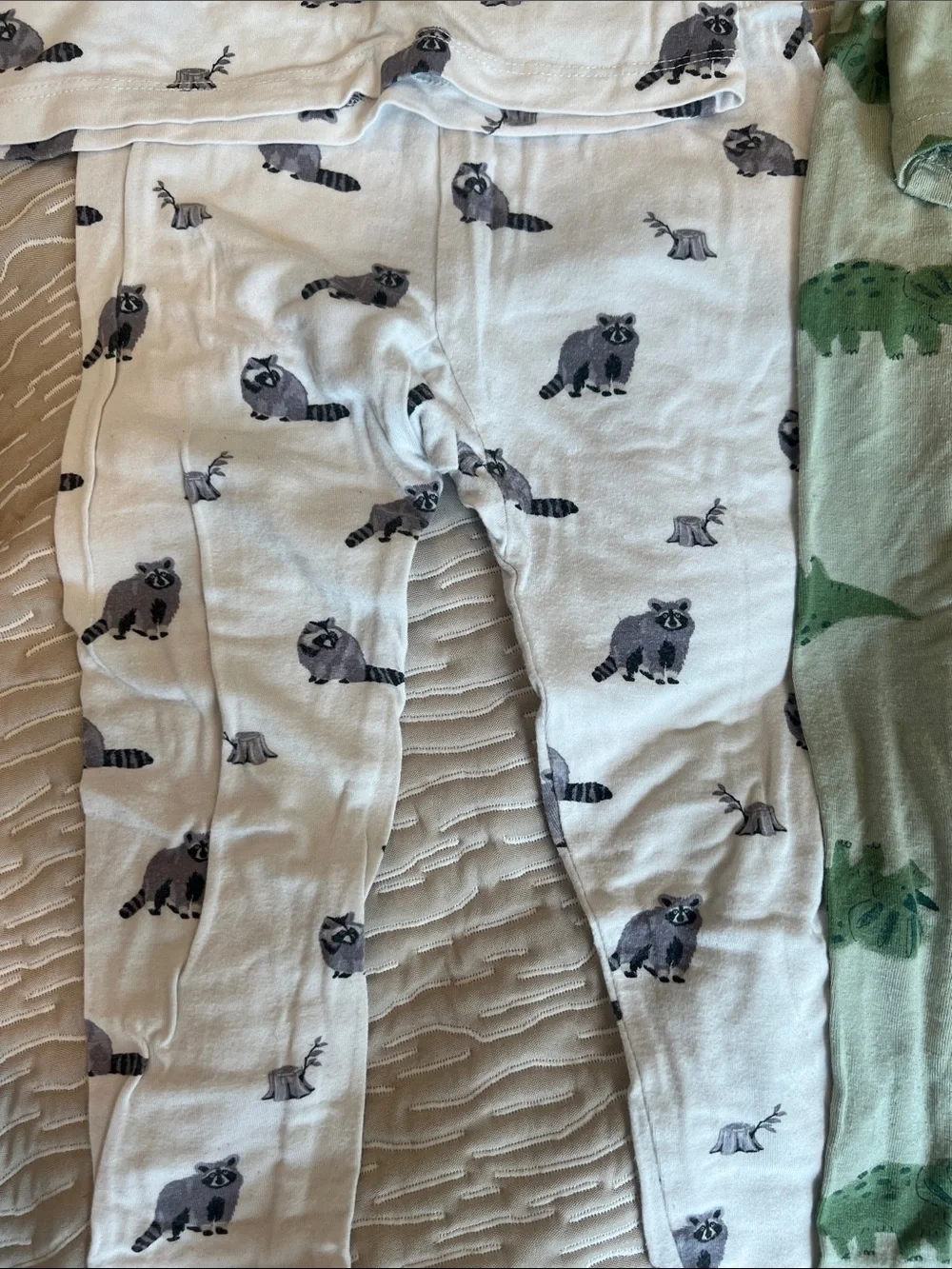 Kyte baby & carters Kids Long Sleeve Pajama set White Raccoon & Green Dinosaurs